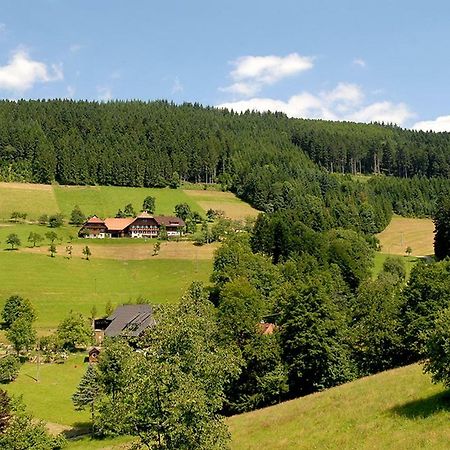 Riehle Hof Apartman Zell am Harmersbach Kültér fotó