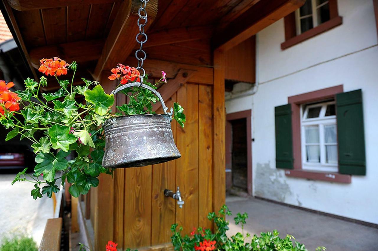 Riehle Hof Apartman Zell am Harmersbach Kültér fotó