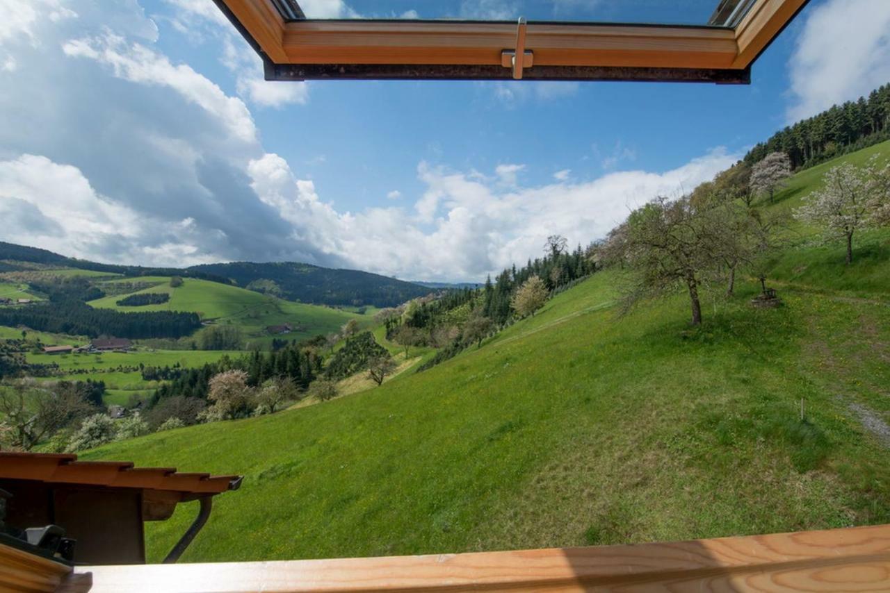 Riehle Hof Apartman Zell am Harmersbach Kültér fotó