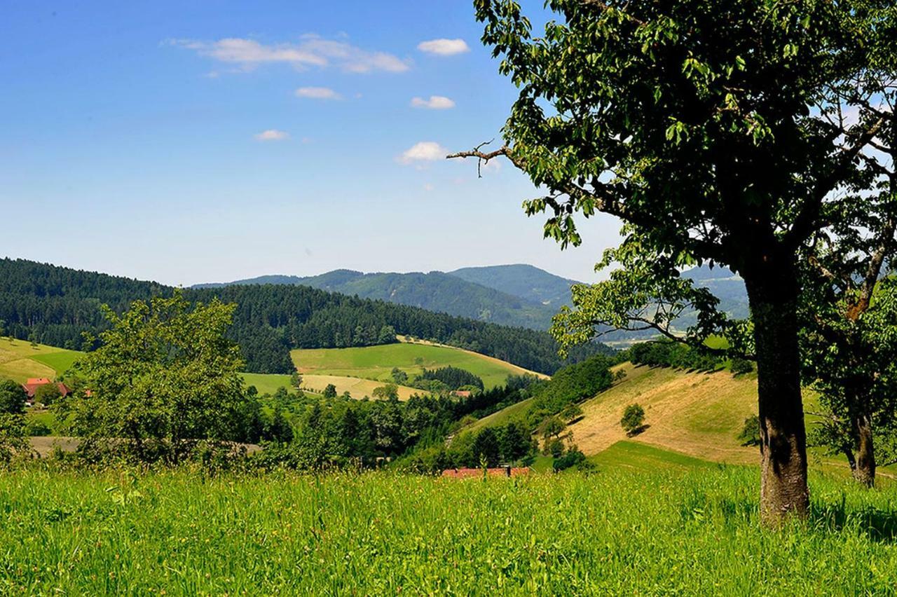 Riehle Hof Apartman Zell am Harmersbach Kültér fotó